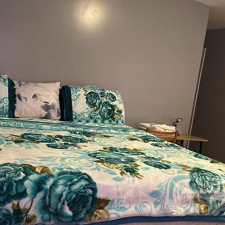 Divine Villa Guest House 65 Sherman 6Mins To Airport And 4Mins To Penn Station